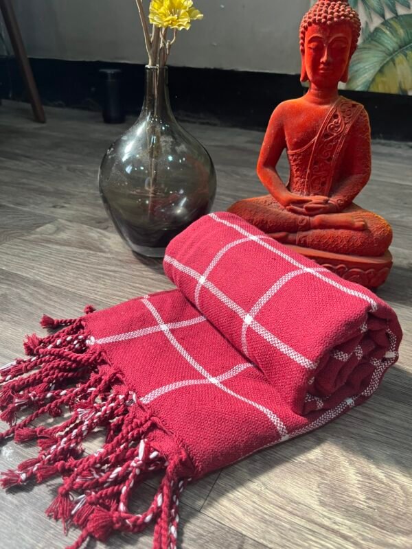 IMG-4386 Combo of Turkish Bath Towels + Egyptian cotton Premium Hand Towels – Pack of 2 ”Shimmering Divas”