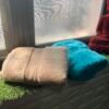 Ultra Premium | Ultra Soft | Egyptian Cotton Hand/Face Towels with zero twist | ”Blue Crushers” – Pack of 2
