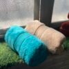 Ultra Premium | Ultra Soft | Egyptian Cotton Hand/Face Towels with zero twist | ”Blue Crushers” – Pack of 2