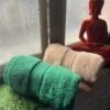 Ultra Premium | Ultra Soft | Egyptian Cotton Hand/Face Towels with zero twist | ”Marvellous Monarchs” – Pack of 2