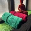 Ultra Premium | Ultra Soft | Egyptian Cotton Hand/Face Towels with zero twist | ”Tequila Berry’s” – Pack of 2