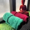 Ultra Premium | Ultra Soft | Egyptian Cotton Hand/Face Towels with zero twist | ”Tequila Berry’s” – Pack of 2