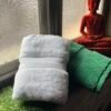 Ultra Premium | Ultra Soft | Egyptian Cotton Hand/Face Towels with zero twist | ”Green Berets” – Pack of 2