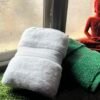 Ultra Premium | Ultra Soft | Egyptian Cotton Hand/Face Towels with zero twist | ”Green Berets” – Pack of 2