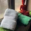 Ultra Premium | Ultra Soft | Egyptian Cotton Hand/Face Towels with zero twist | ”Green Berets” – Pack of 2