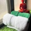 Ultra Premium | Ultra Soft | Egyptian Cotton Hand/Face Towels with zero twist | ”Green Berets” – Pack of 2