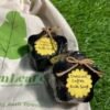 Organic Soap Bar  - Charcoal Coffee Bath Soap ( Pack of 2 ) 100% Vegan