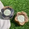 IMG-2866-scaled-e1643799617847.jpg Organic Soap Bar - 'Milk Charcoal + Lavender Green Tea' Bath Soap ( Pack of 2 ) 100% Vegan