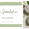 Organic Soap Bar  - 'Aloe Glycerin' Bath Soap ( Pack of 2 ) 100% Vegan